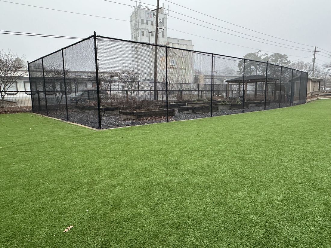 Black chain link enclosure around a community garden
