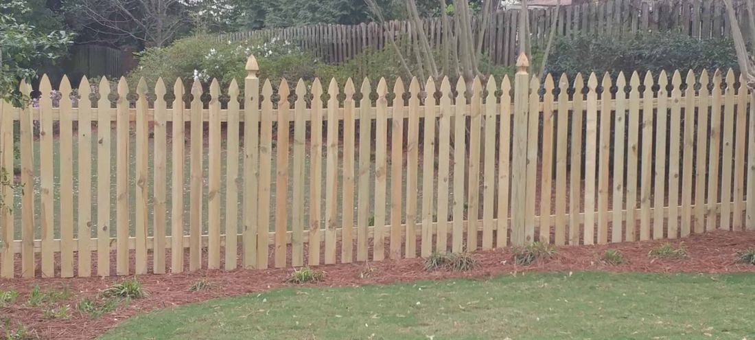 Pine French Gothic pointed picket fence