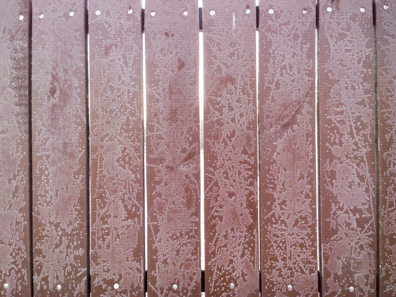 The Best Tips for Painting or Staining Your Fence Before Winter