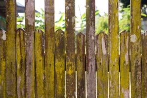 Fence Maintenance Tips for Moisture and Mold