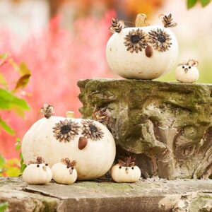 Gourd Critters by Better Homes and Gardens
