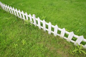 weeds-fence-line