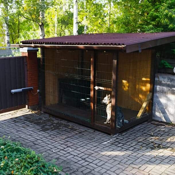 Dog Kennels Installation in Atlanta