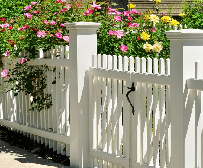 White picket fence and gate with climbing roses